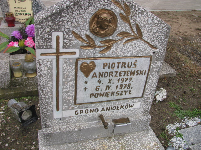 Piotr Andrzejewski 1977 Prochowice - Grobonet - Wyszukiwarka osób pochowanych