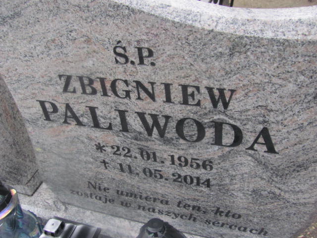 Anna Paliwoda 1982 Prochowice - Grobonet - Wyszukiwarka osób pochowanych