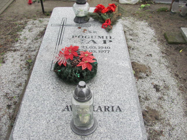 Grób Bogumił Cap
